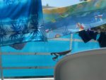 IMG_2533.jpeg