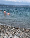 IMG_2537.jpeg