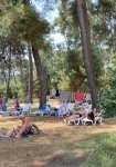 IMG_2556.jpeg