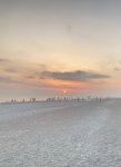 IMG_2655.jpeg