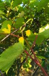 IMG_20230816_084502_resize_28.jpg