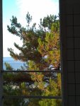 IMG-20230816-WA0001.jpg