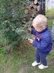 IMG_20230712_151902_1cnAWcii31.jpeg