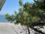 IMG_2844.jpeg