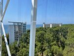 IMG_2818.jpeg