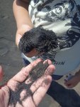 IMG_20230807_105716_1.jpg
