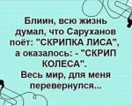 FB_IMG_1692905342519.jpg