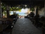 IMG_3487.jpeg