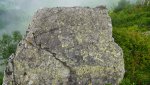 DSC04689.jpg