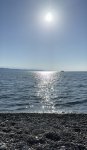 IMG_7181.jpeg