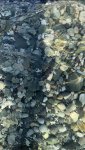 IMG_7182.jpeg