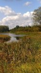 IMG_20230902_125239_resize_61.jpg