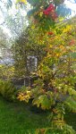 IMG_20230902_125108_resize_94.jpg