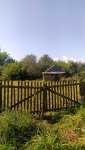 IMG_20230903_115249_resize_3.jpg