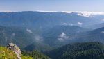 DSC04068.jpg