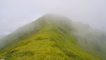 DSC04126.jpg