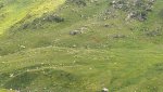DSC04197.jpg