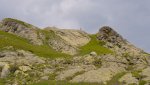 DSC04313.jpg