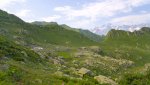 DSC04428.jpg
