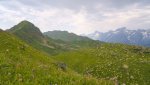 DSC04417.jpg