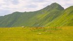 DSC04409.jpg