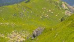 DSC04483.jpg