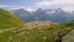 DSC04464.jpg