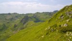DSC04501.jpg