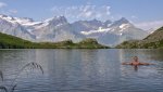 DSC04584.jpg