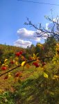 IMG_20230914_144617_resize_68.jpg