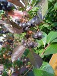 IMG_20230916_134700_vLmeoSeC2J.jpeg