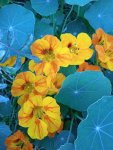 IMG_20230916_134835_nZ0aTZrA9i.jpeg