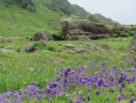 IMG_6197.JPG