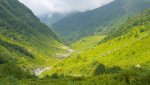 DSC04692.jpg