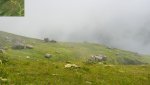 DSC04698.jpg