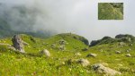 DSC04704.jpg