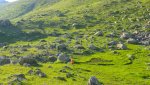 DSC04705.jpg