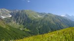 DSC05143___.jpg