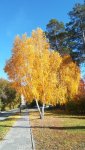 IMG_20231009_135451_resize_85.jpg
