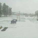 IMG20231028090042_18yKRcWJ54.jpeg