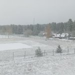 IMG20231028085941_AeCFJ7z666.jpeg