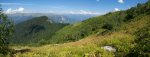 P9052253-Панорама.jpg