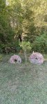 IMG_20231005_145825_1dBdyVOh8S_hLNgZCB42D.jpeg