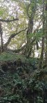 IMG_20231005_152352_aTB2csZM4a.jpeg