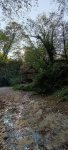 IMG_20231005_152219_LT64GZF89M.jpeg