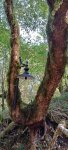 IMG_20231005_152623_gttqi5RO8e.jpeg