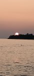 IMG_20231005_174535_fkiRRfai6B.jpeg