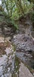 IMG_20231006_132037_uIYjyxz408.jpeg