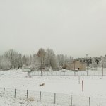 IMG20231114094549_mq9xQdar04.jpeg