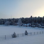 IMG20231205113041_wu1KD04X2U.jpeg